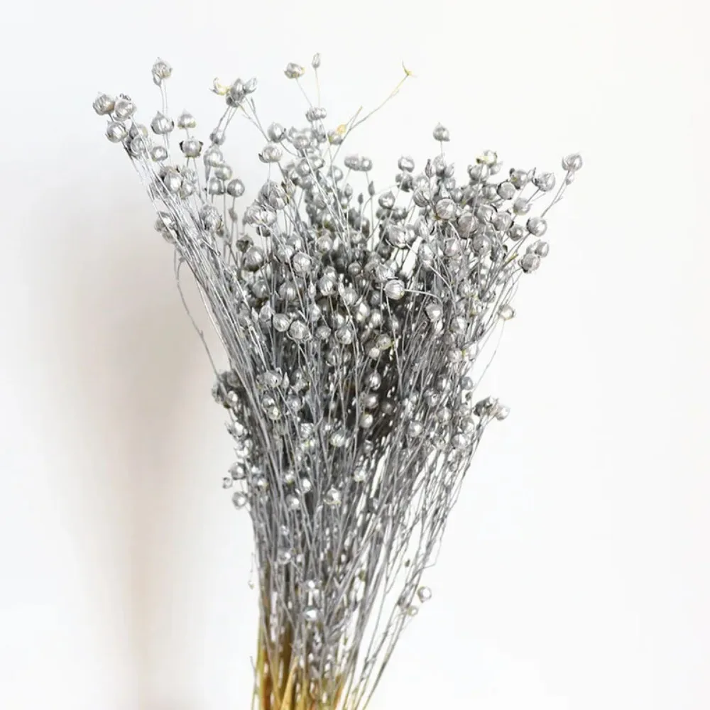 Bouquet fleurs séchées - perles argentées magiques