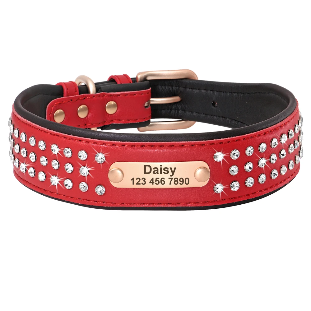 Collier chien - collier étoilé daisy
