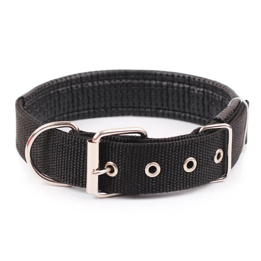 Collier chien - collier noir étoilé