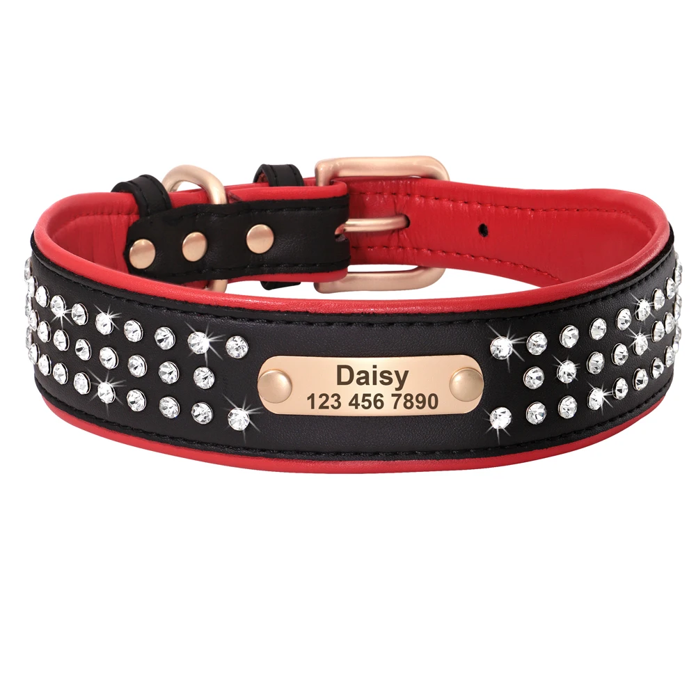 Collier chien - collier étoilé